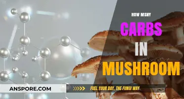 Mushrooms' Carb Content: What You Need to Know