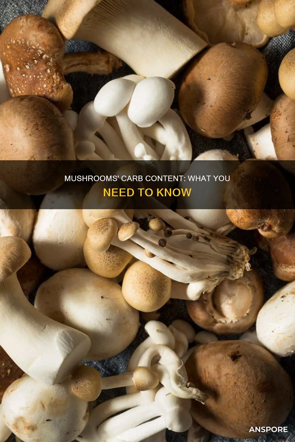 how msny carbs in mushrooms
