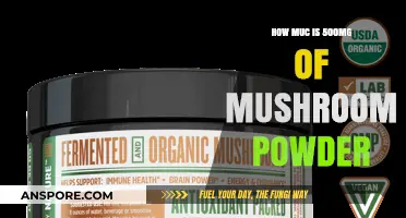 Mushroom Powder: How Little for Big Benefits?