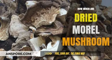 Dried Morel Mushrooms: Understanding Their Value and Market Price
