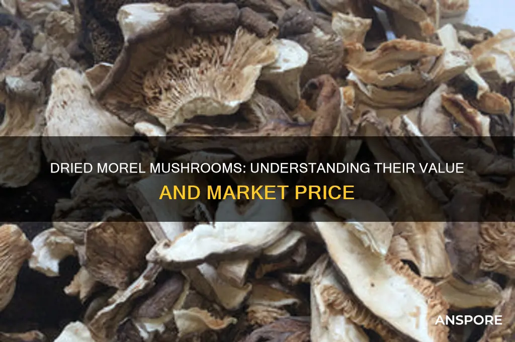 how much are dried morel mushrooms