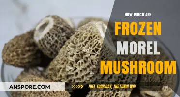 Frozen Morel Mushrooms: Pricing Guide for Culinary Enthusiasts