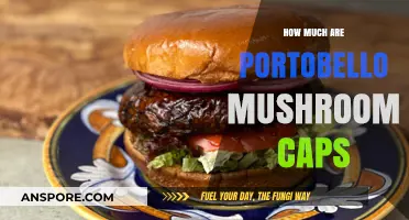 Portobello Mushroom Caps: Pricing Guide for Budget-Friendly Cooking