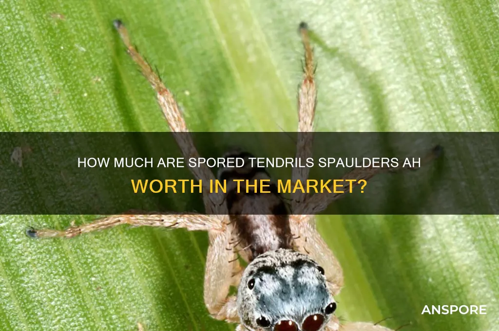 how much are spored tendrils spaulders ah