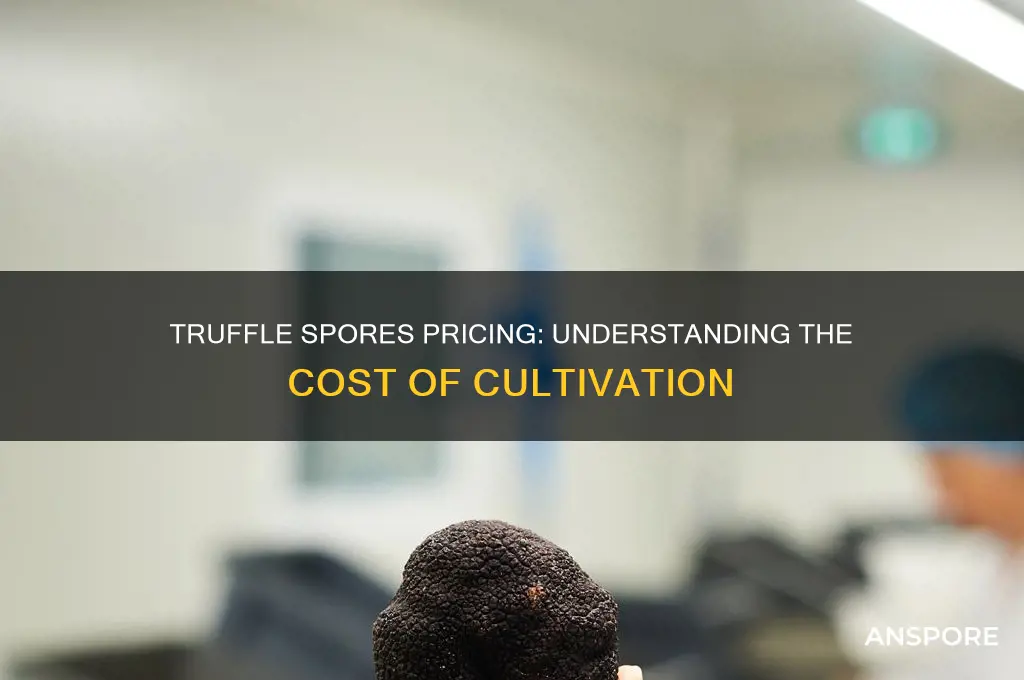 how much are truffles spores