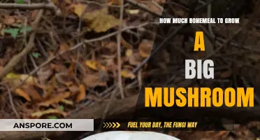 Growing Giant Mushrooms: Optimal Bonemeal Amounts for Maximum Size
