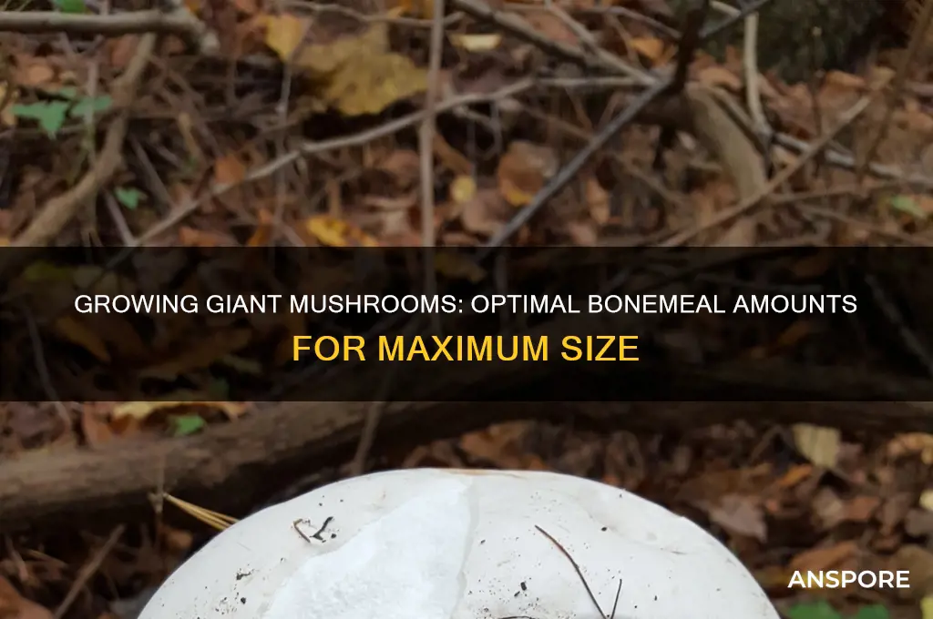 how much bonemeal to grow a big mushroom
