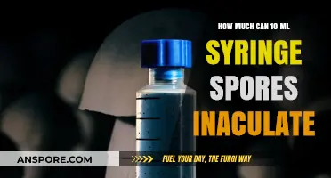 Syringe Spore Inoculation: Maximizing Yield with 10ml Precision