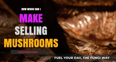 Profitable Mushroom Farming: Unlocking Income Potential in the Fungal Market