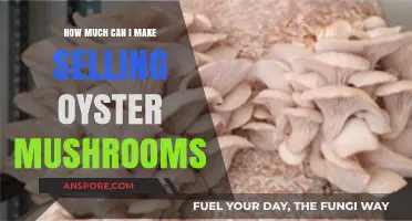 Profitable Oyster Mushroom Farming: Unlocking Income Potential and Market Opportunities