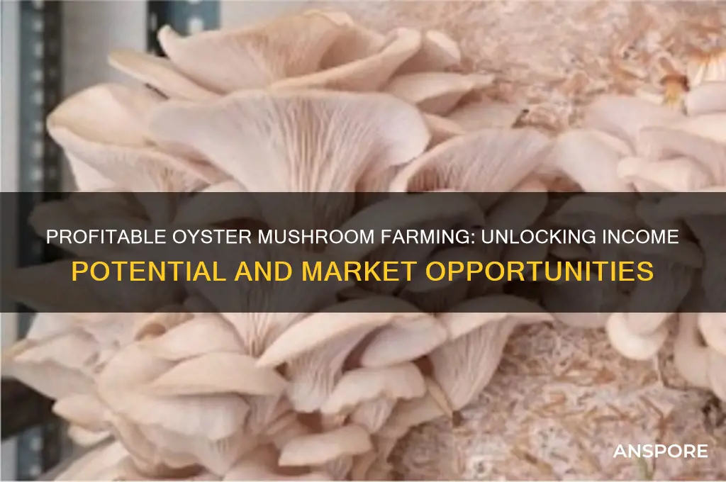 how much can i make selling oyster mushrooms