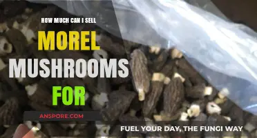 Profitable Morel Mushrooms: Pricing Guide for Selling Your Foraged Finds
