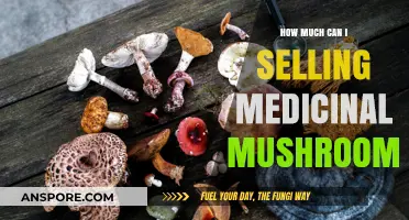 Profitable Potential: Selling Medicinal Mushrooms for Optimal Health and Wealth
