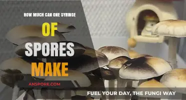 Maximizing Mushroom Yield: One Syringe of Spores Potential Explored