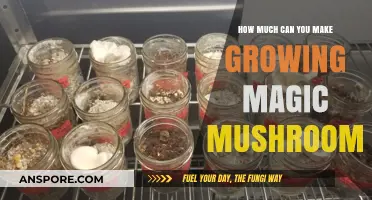 Profitable Psilocybin: Earning Potential of Growing Magic Mushrooms