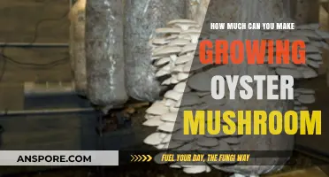 Profitable Oyster Mushroom Farming: Unlocking Income Potential in Cultivation