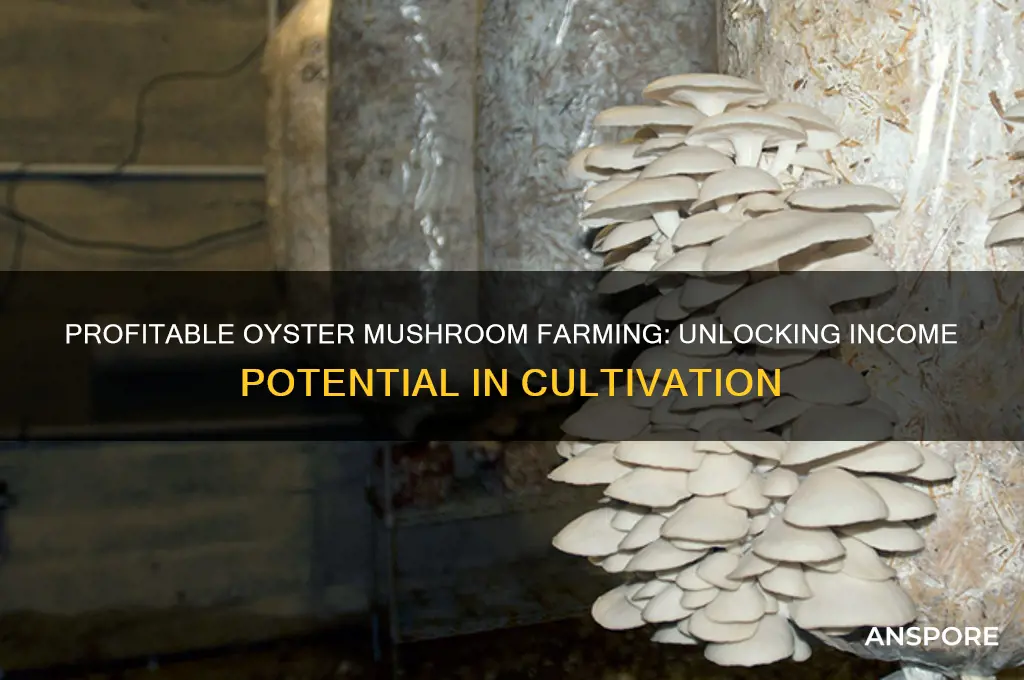 how much can you make growing oyster mushrooms