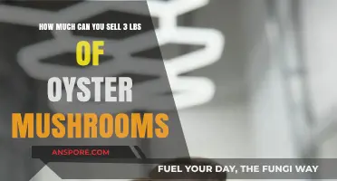 Selling Oyster Mushrooms: Profitable Price for 3 Pounds Revealed