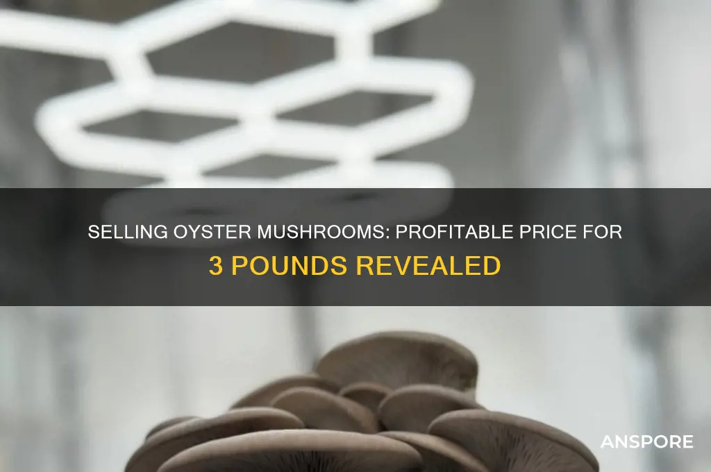 how much can you sell 3 lbs of oyster mushrooms