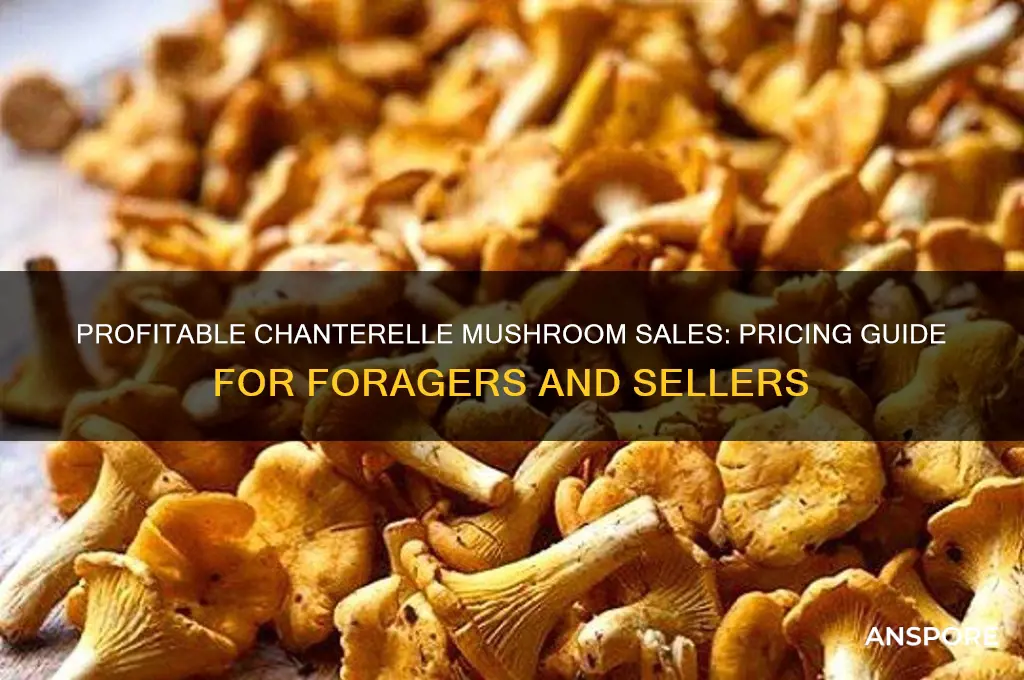 how much can you sell chanterelle mushrooms for