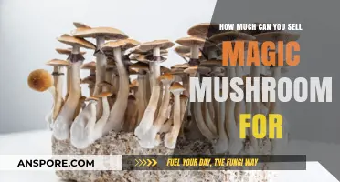 Magic Mushrooms Market Value: Pricing Psilocybin for Sale Legally