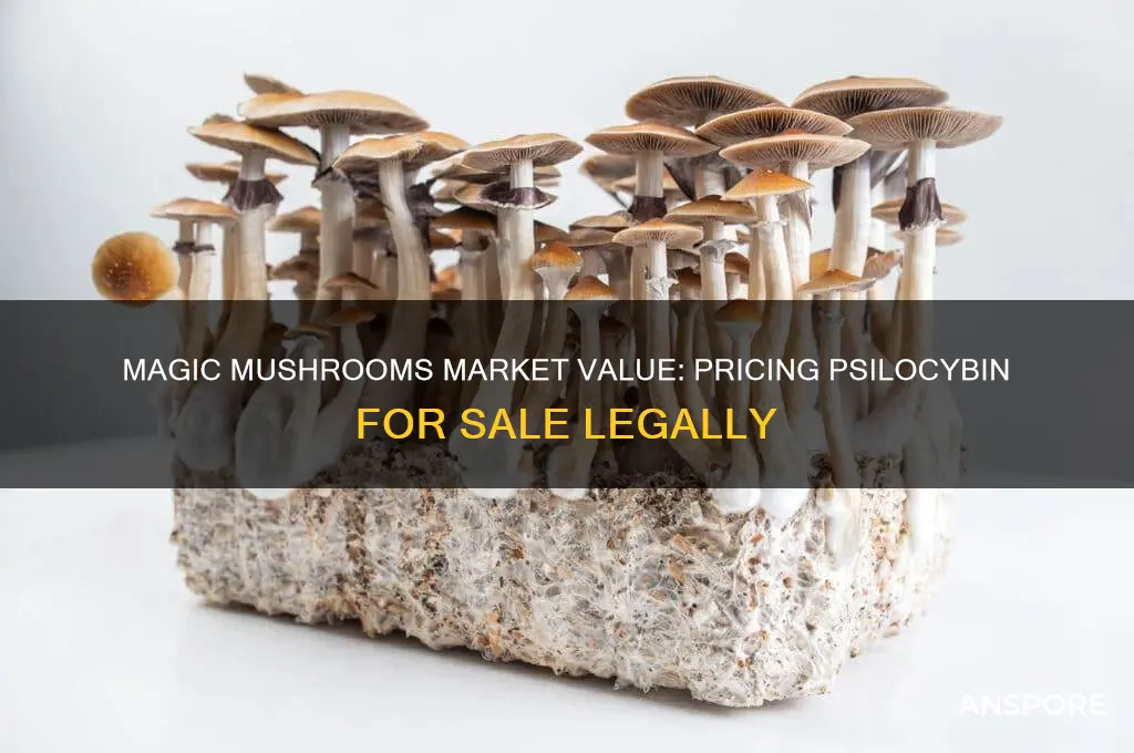 how much can you sell magic mushrooms for