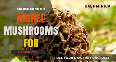 Profitable Morel Mushrooms: Understanding Market Prices and Selling Strategies
