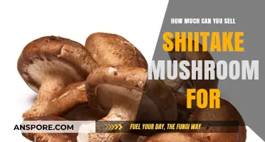 Profitable Shiitake Sales: Pricing Strategies for Mushroom Growers
