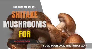 Profitable Shiitake Mushroom Sales: Pricing Strategies for Maximum Returns
