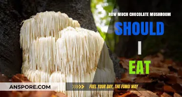 Chocolate Mushroom Dosage: Finding Your Ideal Amount Safely