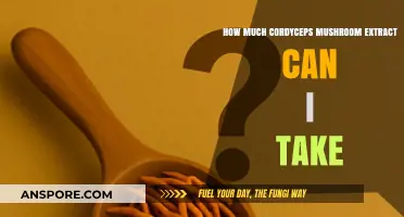Safe Cordyceps Mushroom Extract Dosage: How Much Can You Take?