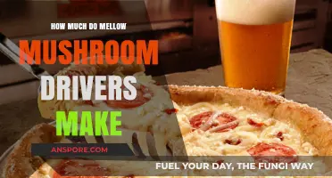 Mellow Mushroom Driver Earnings: Unveiling Salaries and Tips for Delivery Roles