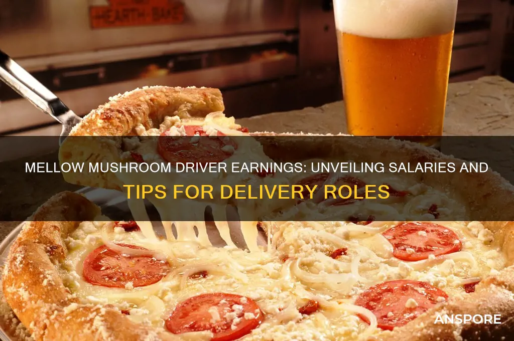 how much do mellow mushroom drivers make