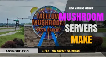Mellow Mushroom Server Earnings: Unveiling Hourly Wages and Tips