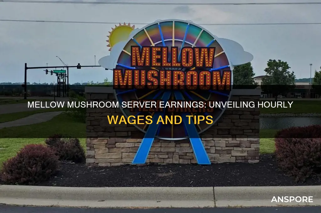 how much do mellow mushroom servers make