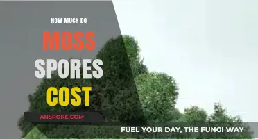 Understanding the Cost of Moss Spores: A Comprehensive Pricing Guide