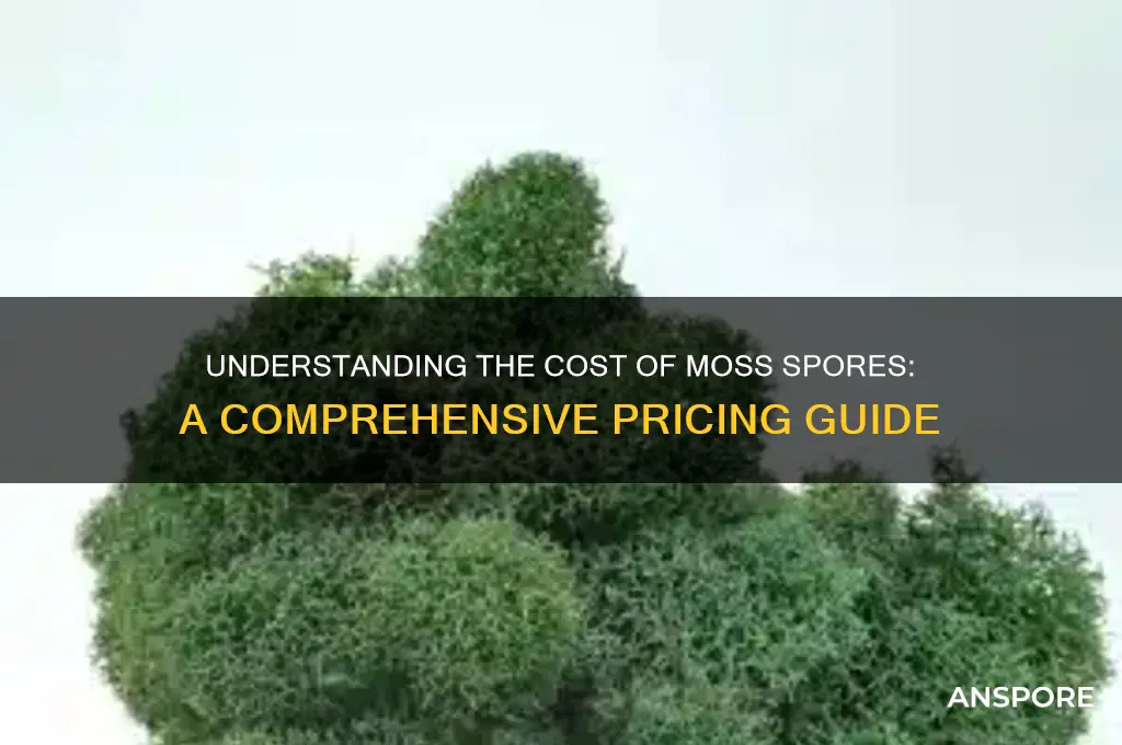 how much do moss spores cost