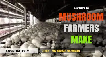 Profitable Mushroom Farming: Unveiling the Income Potential for Growers
