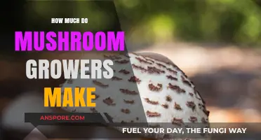 Profitable Mushroom Farming: Unveiling Growers' Earnings and Industry Potential