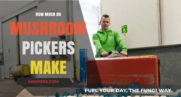 Mushroom Pickers' Earnings: Unveiling the Income Potential in Foraging