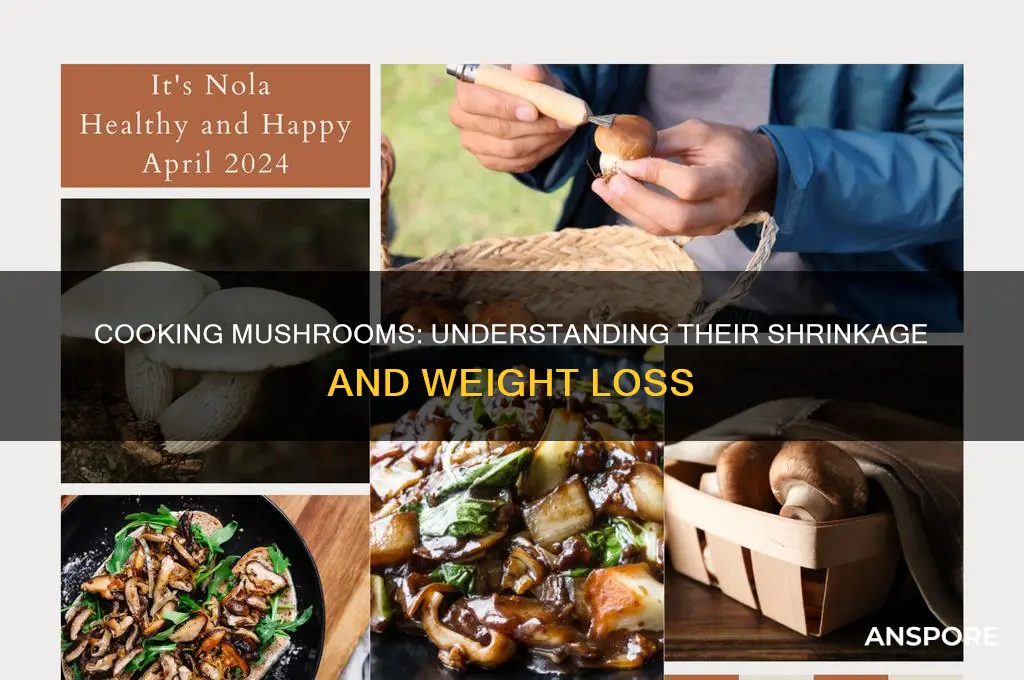 how much do mushrooms shrink when cooked