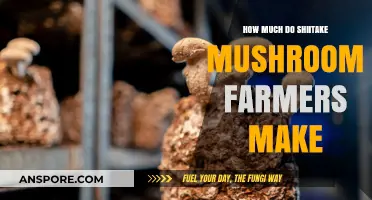 Shiitake Mushroom Farming Profits: Income Insights for Growers