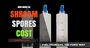 Understanding the Cost of Shroom Spores: A Comprehensive Price Guide