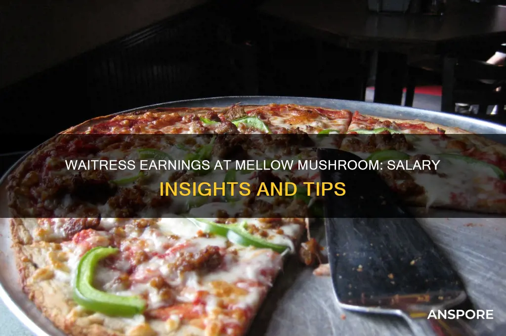 how much do waitresses make at mellow mushroom