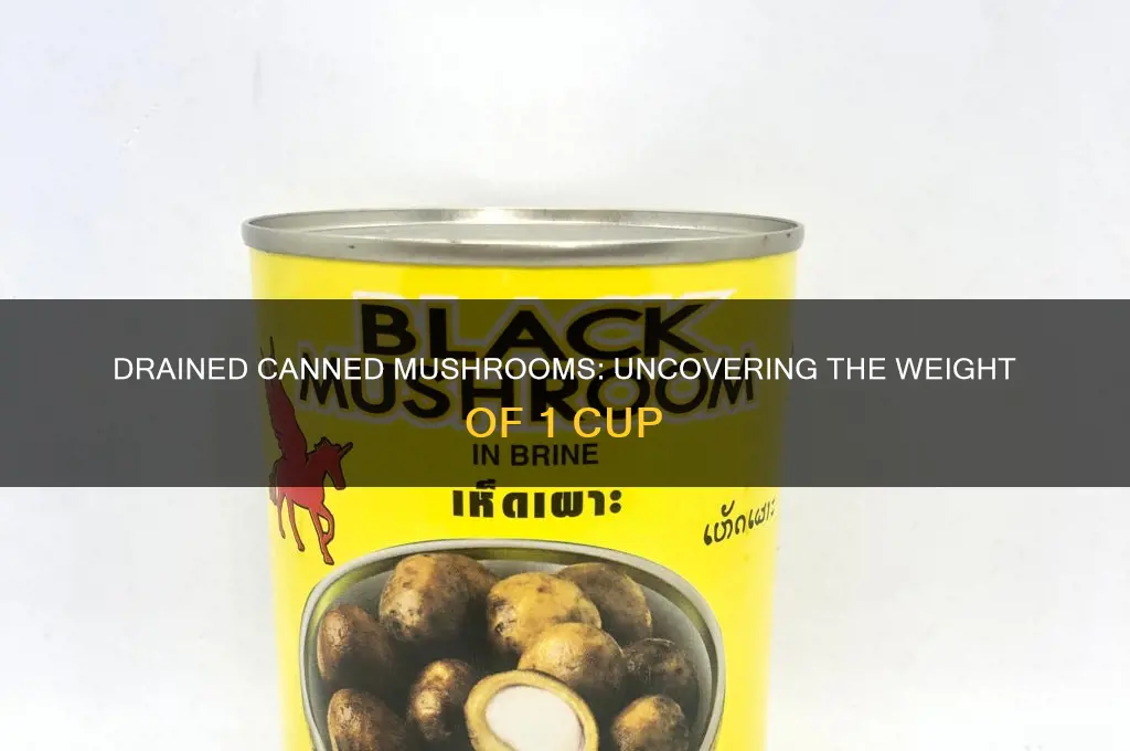 how much does 1 cup of drained canned mushrooms weigh
