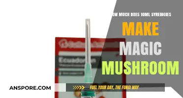 Magic Mushroom Syringe Dosage: Understanding 10ml Yield and Effects