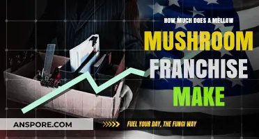 Mellow Mushroom Franchise Profits: Earnings and Success Insights Revealed