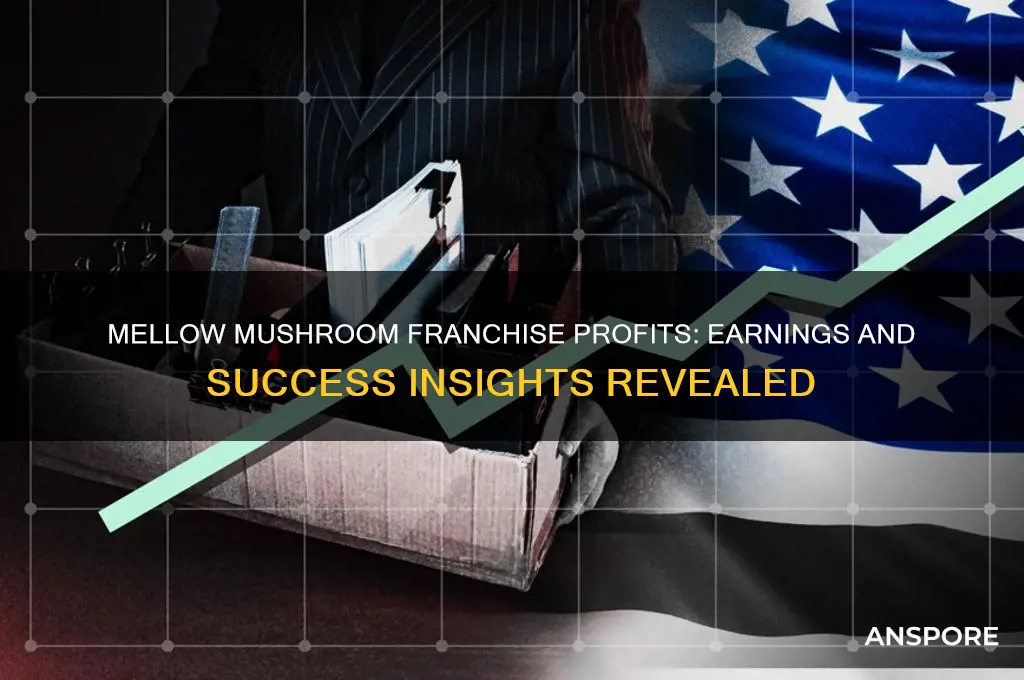 how much does a mellow mushroom franchise make