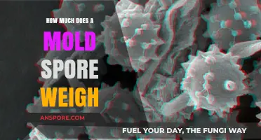 Unveiling the Microscopic Mystery: The Astonishing Weight of Mold Spores