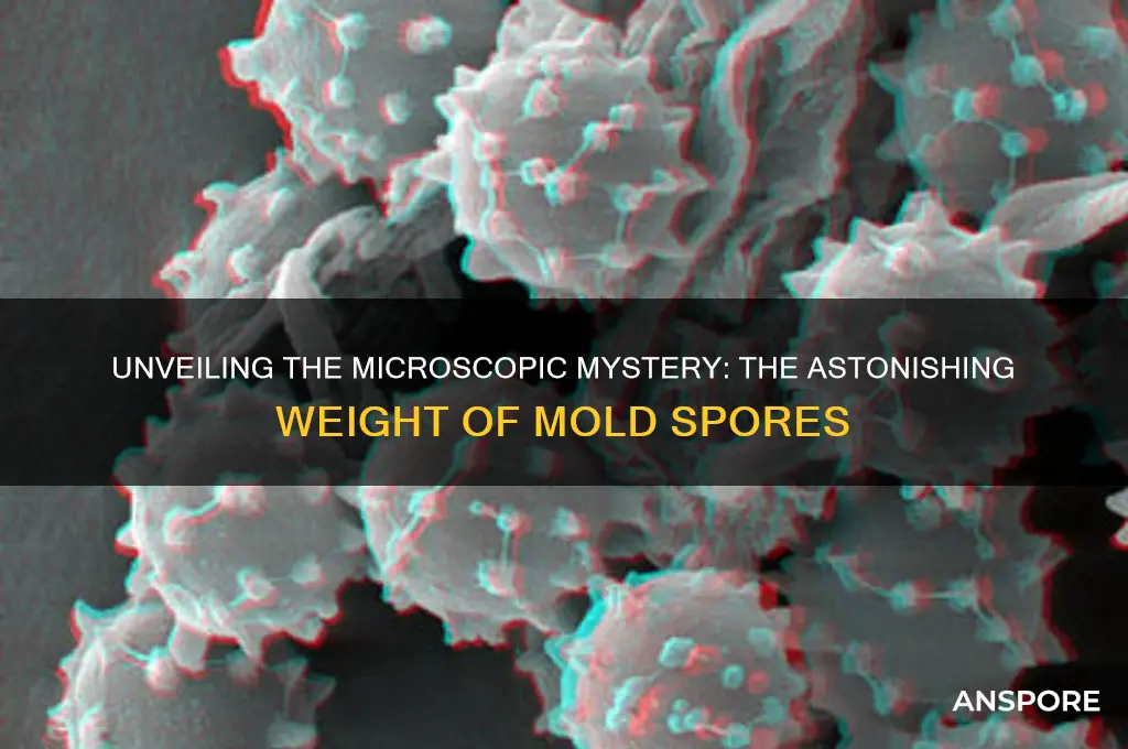 how much does a mold spore weigh